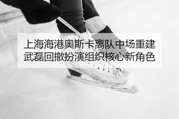 shang-hai-hai-gang-ao-si-ka-li-dui-zhong-chang-chong-jian-wu-lei-hui-che-ban-yan-zu-zhi-he-xin-xin-jue-se-2-940.jpg